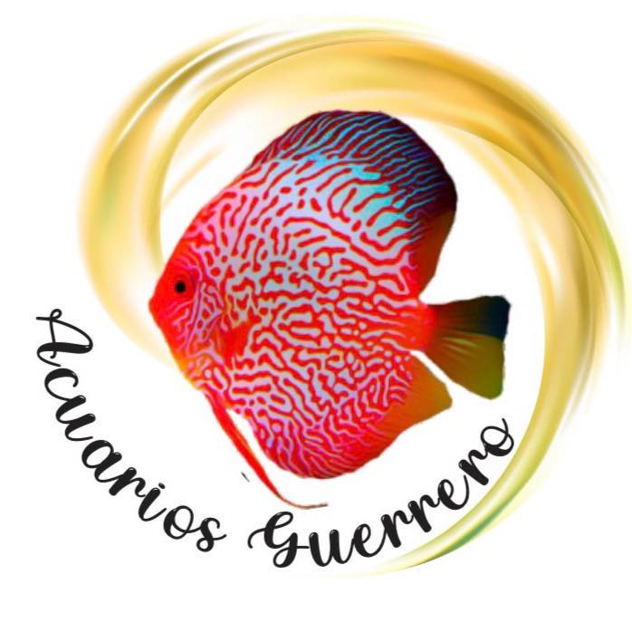 Acuarios Guerrero